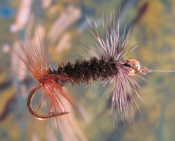 Enlarged view of image