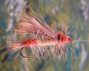 Click for larger image