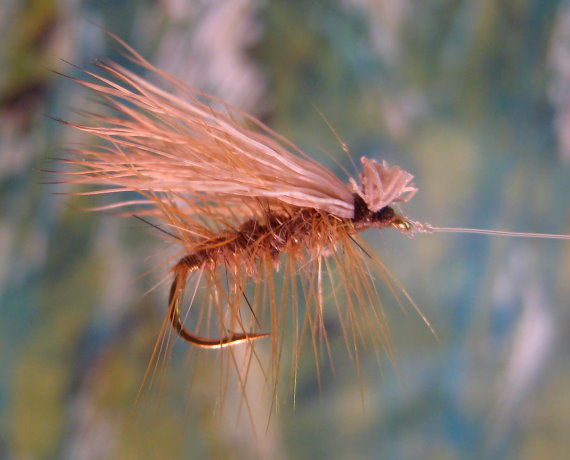 Enlarged view of image