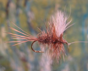 Click for larger image