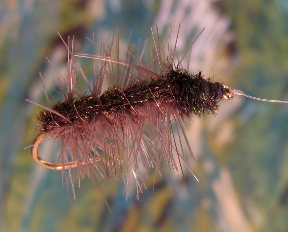 Enlarged view of image