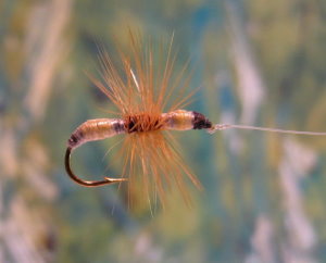 Click for larger image